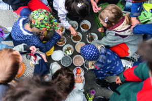 Kinder versammeln sich um Schälchen mit Samen